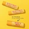 Burt's Bees 100% Natural Origin Moisturizing Lip Balm, 2 Original