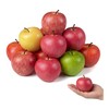 Mtbricey 10 Pcs Foam Artificial Apples 5.4cm Red Green Fake