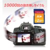 トランセンドジャパン Transcend SD Card 2GB TS2GSDC
