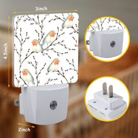 Neidius Teal Orange Robin Birds on Willow Branches Night Light for Kids Girls Boys,LED Night Light Plug into Wall with Dusk to Dawn Sensor for Room Decor,Hallway,Kitchen,Bathroom,Nursery,Stairs