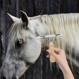 balacoo 2Pcs Horse Nail Rake Comb - Pet Horse Hair Comb, Horse Brush Steel Comb for Hair, Pet Mane Pulling Tool, Pet Horse Hair Brush, Mane Brush Dog Deshedding Brush