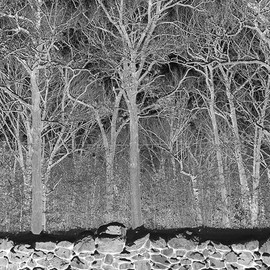 Sunshine and Balance Beams