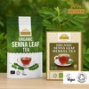 Ausha Senna Tea - 20 Bags | Laxative for Constipation