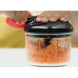 Lagostina 012175000003 Pronto in 5 Secondi Chopper, 900 ml, Plastic, Multi-Coloured