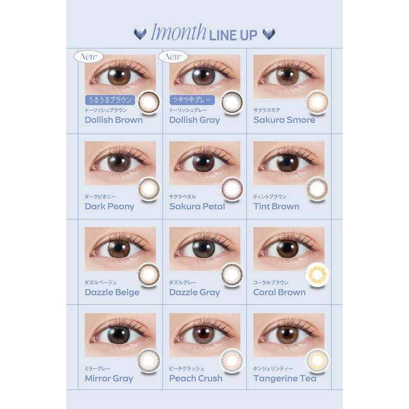 [ 宮脇咲良 イメージモデル カラコン ] MOLAK (モラク) 1ヶ月 2枚入り ダークピオニー（度なし）[0.00]