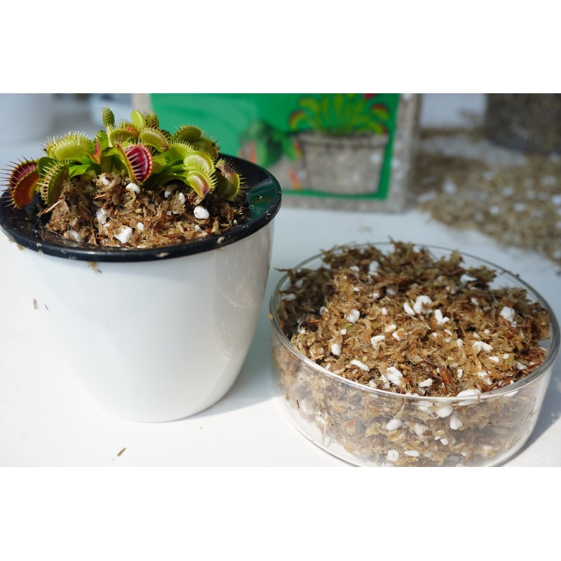 Kapecute Carnivorous Plant Soil Mix 2 Qts, Include Perlite and