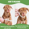 Soft Dog Cone Collar for Dogs After Surgery, Buster Collar,