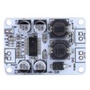 TPA3110 Mono Channel Digital Power Amplifier Board, 30W 8‑26VDC PBTL