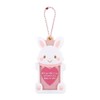 Sanrio Wish Memel ID Photo Holder (Enjoy Idol) 570079