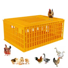 EQCOTWEA Poultry Carrier Crate, Plastic Chicken Transport Cage, Chickens Travel Cage, Poultry Carrier Basket Box for Chicken Duck Goose Pigeons Rabbits Birds, 29.1x 21.3 x 12.2 Inch, Orange