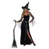 Womens Rich Witch Costume X-Large