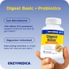 Enzymedica - Digest Basic + Probiotics, Essential Digestive Enzymes with