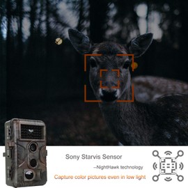 Game & Deer Trail Camera Full HD 24MP Photo 1080P H.264 Video 100ft Night Vision No Glow Motion Activated Waterproof 0.1S Trigger Time Lapse Password Protected Photo & Video Model