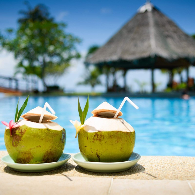 ALINK 500-Pack White Flexible Plastic Drinking Straws, Solid White Disposable