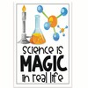 Science Is Magic In Real Life Classroom Poster - Science