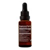 Plant Therapy Organic Herbal Tincture - Brain Power, 30ml