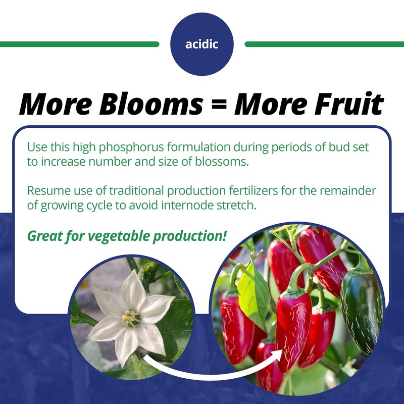 Jack's Professional 10-30-20 Blossom Booster Water-Soluble Fertilizer with Micronutrients for