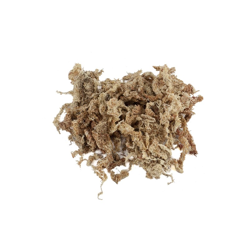 Sphagnum Moss for Terrarium and Orchids from Chile 150 g