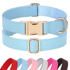 PET ARTIST Charming Nylon Dog Collar with Leather Soft Comfy Elegant Nylon Collars for Small Medium Large Dogs, Bright Solid Color for Choosing, Blue, Neck Fit 16-27''