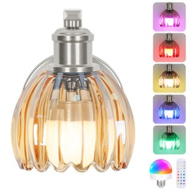 Rechargeable Battery Operated Wall Sconce with Amber Glass Lampshade, Wireless Wall Scone Decor with Remote Control, 15 Colors Brushed Nickle Wall Light for Bedside Hallway Bedroom Doorway
