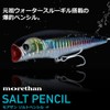 Daiwa 110F-HD Sea Bass Morethan Salt Pencil Lure, 3D Inakko