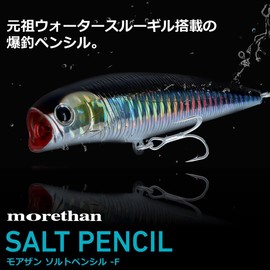 Daiwa 110F-HD Sea Bass Morethan Salt Pencil Lure, 3D Inakko (Mullet)