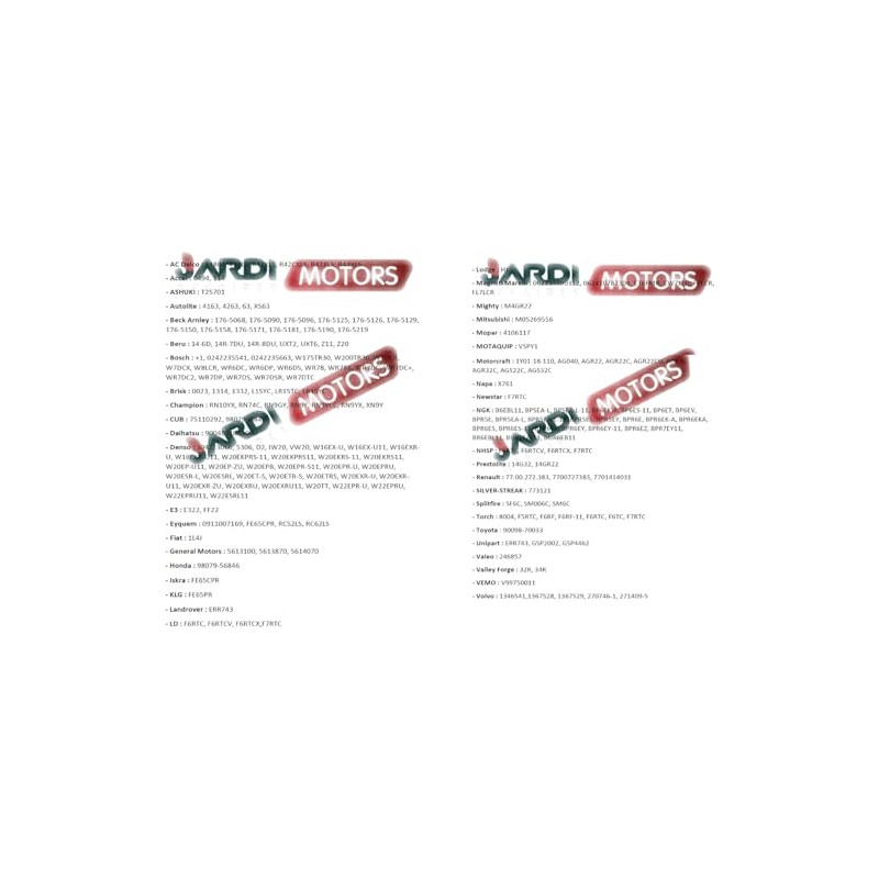 Jardiaffaires Champion RN9YC Spark Plug for Thermal Engine