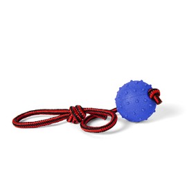 Dog Ball Dog Indestructible - Dog Toy Dental Care for the Health and Happiness of the Dog (Ball on a String Blue)