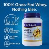 TYILLO Whey Protein – 100% Grass-Fed | Fast Absorption &
