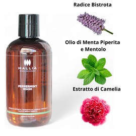 Mallia Peppermint Wash reinigendes Shampoo mit Pfefferminze – ausgleichend, beruhigende und erfrischende Wirkung mit lila Ginseng und grünem Tee, für fettiges Haar, 250 ml