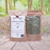Health Embassy Common Birch Leaf Tea | Betula pendula L