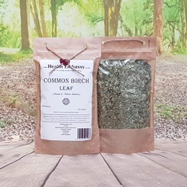 Health Embassy Common Birch Leaf Tea | Betula pendula L | 50g