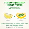 True Lemon 500ct (Pack of 1) - Water Enhancer -