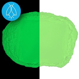 Glow in The Dark Pigment Powder - Neutral and Fluorescent Color for Art Painting, Fine Art, Nail Art Paint, and DIY Crafts - Long Lasting, 10+ Color Options - Fluorescent Green - (12 Grams/ .42oz)
