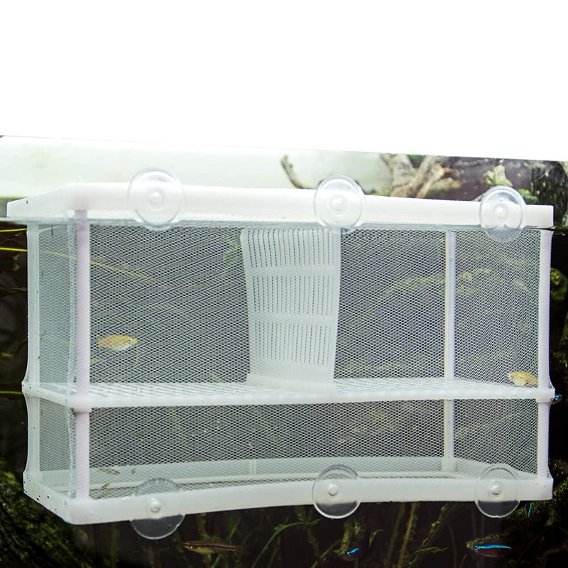 Hobby Nido Spawning Container