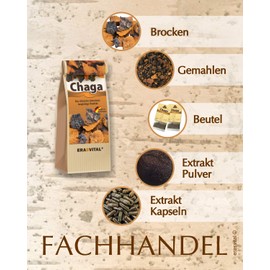 Chaga mushroom portioned in 20 bags, 1 g each, wild collected, gently dried, vegan quality from specialist retailer brochure with many recipes