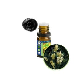 HIGH ALTITUDE NATURALS Mimosa Absolute Essential Oil (Acacia Mearnsii) - Pure & Natural, Uncut, Undiluted - Therapeutic, Cosmetic, Aromatherapy, Perfumery - 5ml (1/6 oz)