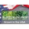 Gardeners Basics Lettuce and Greens Heirloom Vegetable Seed Non-GMO Seeds