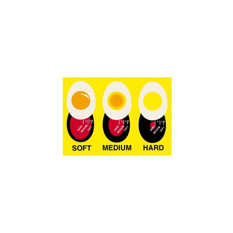 Egg Perfect Egg Timer