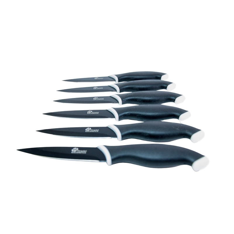 Pradel Excellence CC006N Kasten mit 6 Antihaft-Steakmessern aus rostfreiem Edelstahl,