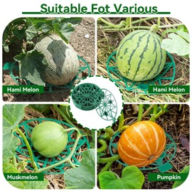 Cyrank Pack of 10 Melon Cradles, Plastic Pumpkin Protection, Melon Cradle, Pumpkin Support, Watermelon Holder, Stand, Grid, Melon Supports for Watermelon