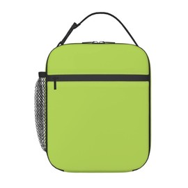Asondarne Sage Green Insulated Lunch Bag for Girls and Women, 10.2 x 8.3 x 4.3 in