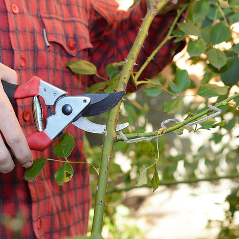 WEBEEDY Pack of 20 Branch Pullers for Fruit Trees M-Shaped