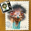Twigg Puzzle Wooden Jigsaw Puzzle 74 Pieces - Emu