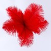 10Pcs Bulk Natural Red Ostrich Feathers,10-12 inch (25-30cm) Beautiful Long