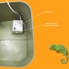 Reptile Water Bowl with Filtration System, Lizard Drinking Fountain, Bearded
