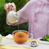 Cute Tea Infuser for Loose Tea, CoiTek Stainless Steel Tea