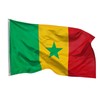 PHENO FLAGS Senegal Flag 90 x 150 cm - Weatherproof