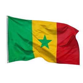 PHENO FLAGS Senegal Flag 90 x 150 cm - Weatherproof Flag with Brass Eyelets, 100% Polyester, Robust Double Stitching and in Vibrant Colours - Ideal for Flag Lovers