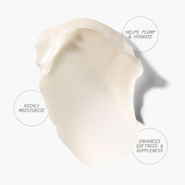 Juice Beauty Stem Cellular Anti-Wrinkle Ceramide Overnight Cream - 50 mL - Reduces Look of Deep Lines + Wrinkles - Vegan, Cruelty Free